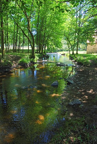 Bord de la Côle Saint Jory (8) ©OT PL
