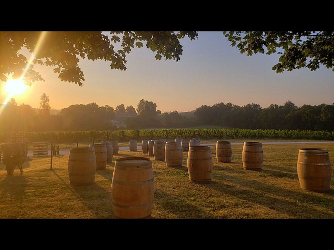 Design sans titre - 1