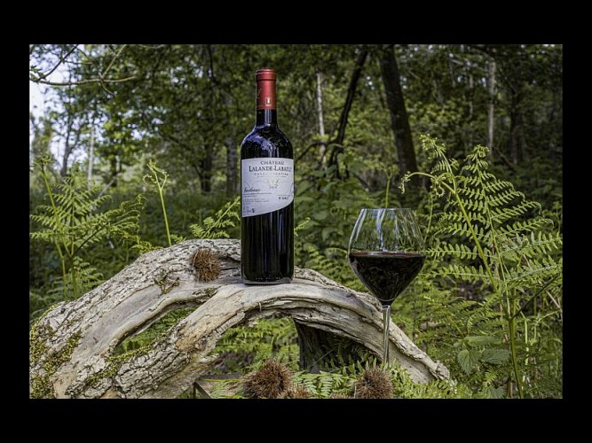 Vin rouge