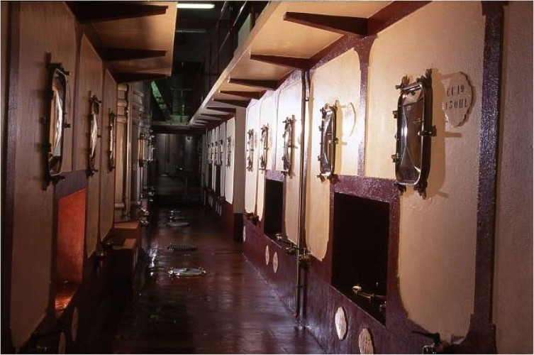 image-3-petite