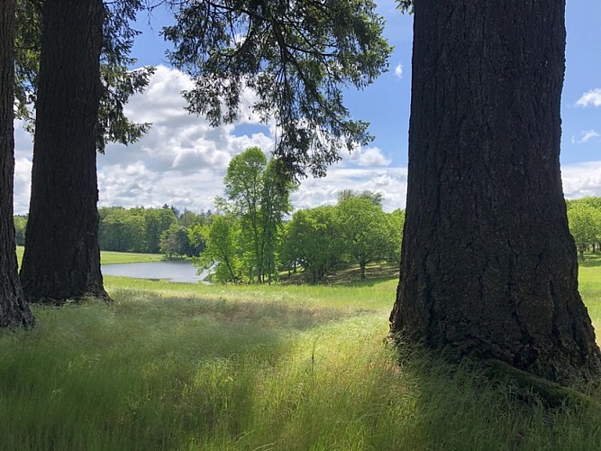 Parc château de Bort_4