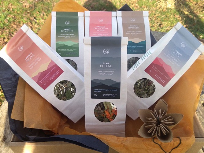 tisanes au chant des fleurs