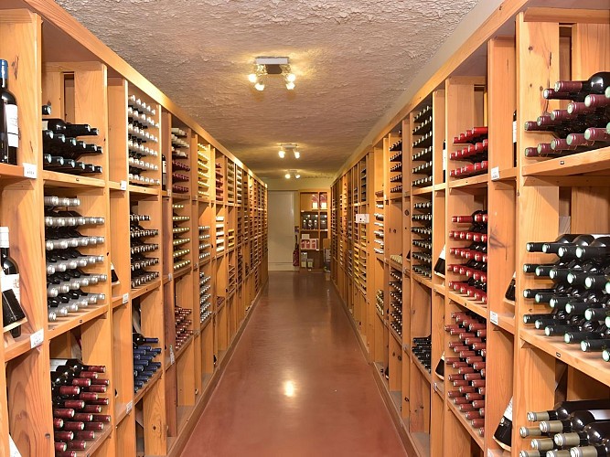 Cave des Bordeaux à Planète Bordeaux