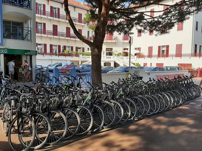 Velos d'Albret