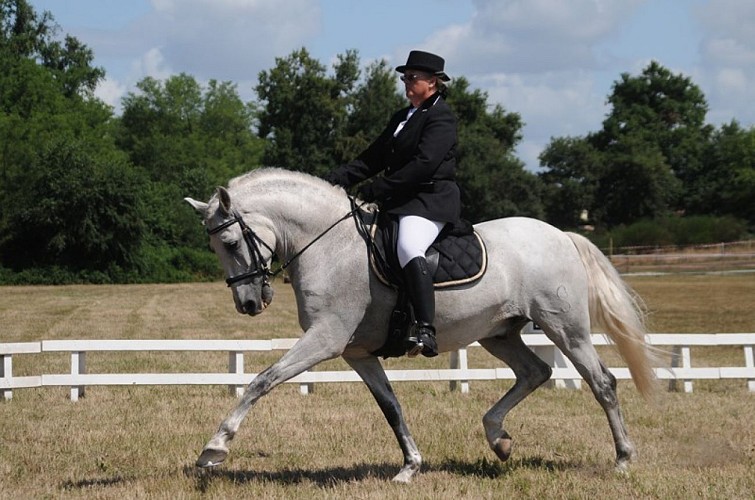 Les Ecuries de Louchats 2 (Copier)