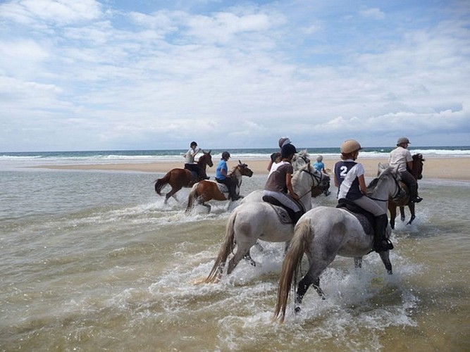Les Ecuries de Louchats