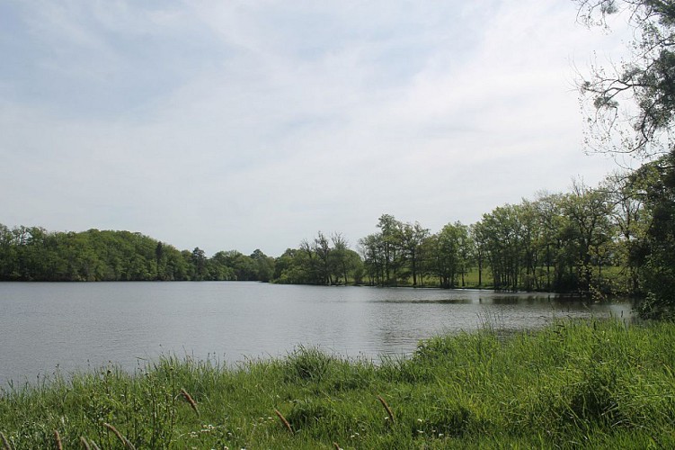 Fishing pond of Mondon