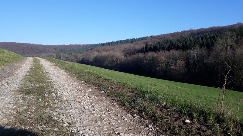 Le vallon de Fontenelay