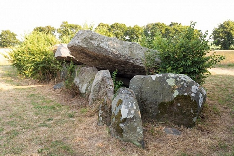 Le dolmen de la Ville Génouhan