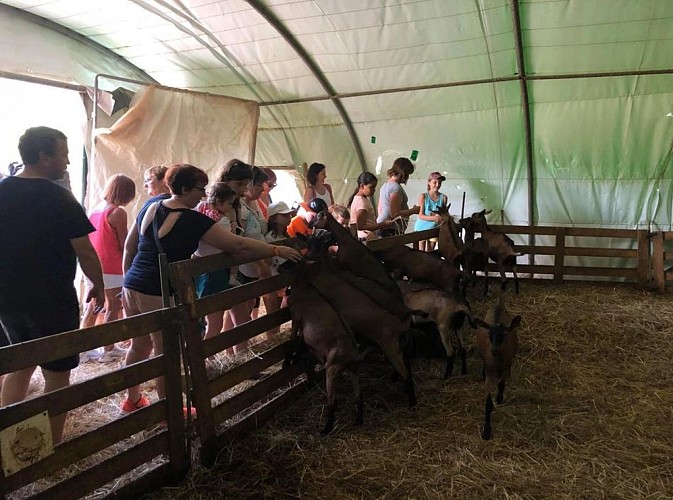 Biquettes de Braulen - 7