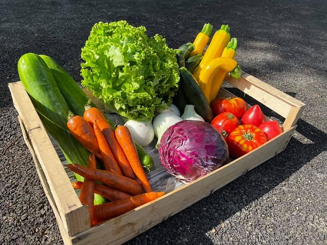 208610523_1382627712130595_4940924510011319278_n