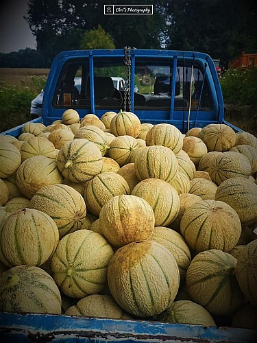 220028673_1395741487485884_6340623892545969950_n