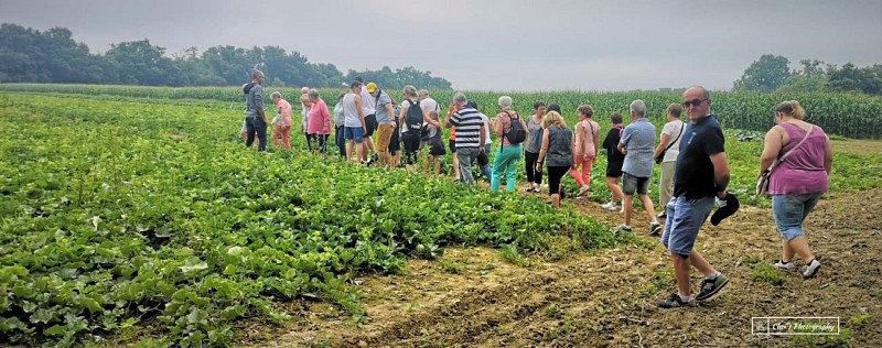 220931062_1395741540819212_7520217485225103022_n