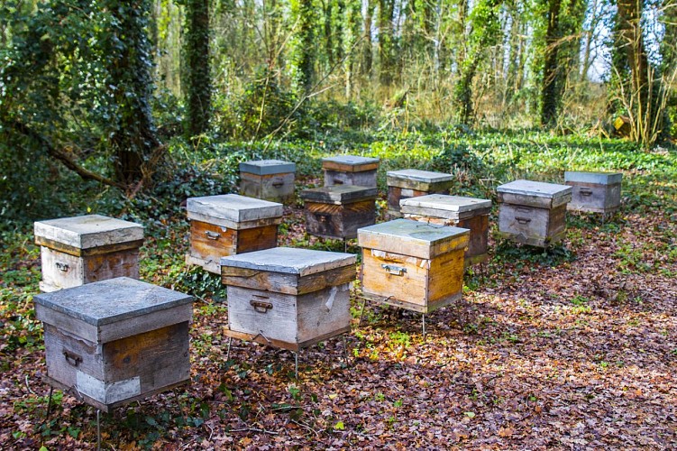 Délices de la Ruche