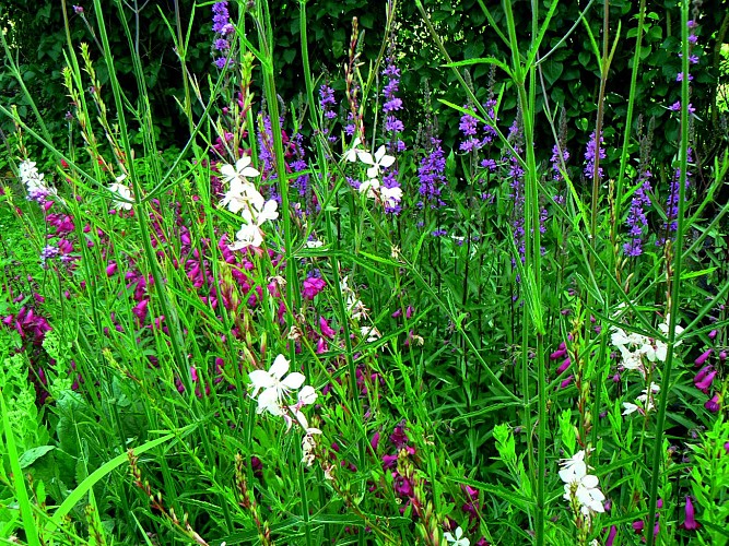 Les Jardins d'Ollivier