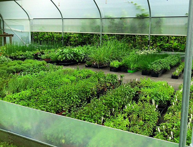 Les Jardins d'Ollivier