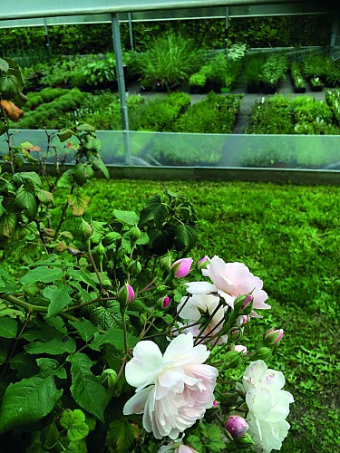 Les Jardins d'Ollivier