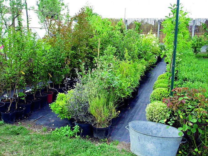 Les Jardins d'Ollivier