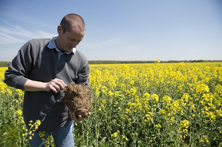 L'Huilerie de l'Orme Creux