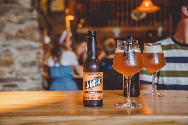 Emplacements camping-cars Camping La Guyonnière