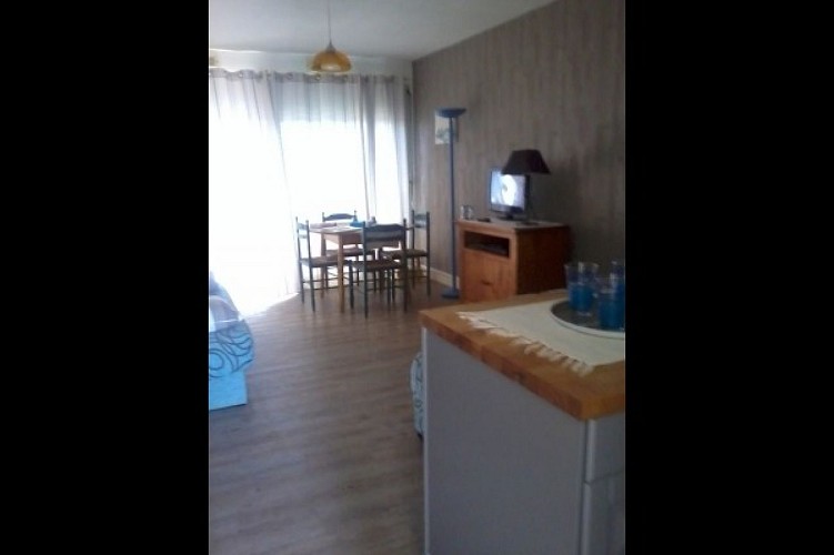 Les pieds dans l'eau - Studio à Saint-Brévin-Les-Pins 2/3 personnes - Face océan