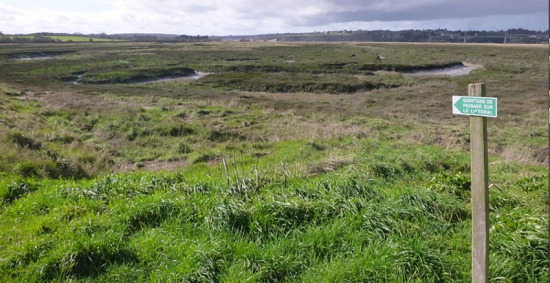 Le marais maritime de Pleudihen