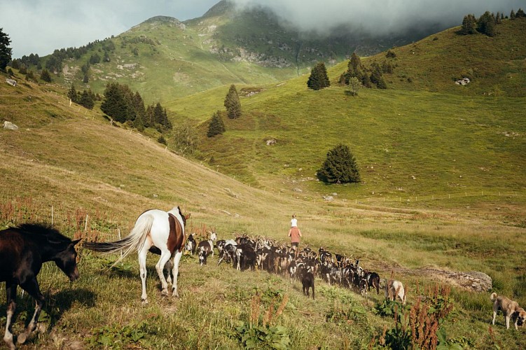Chalet-Refuge de la Thuile