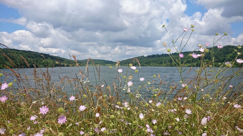 LAC DE SAVERES