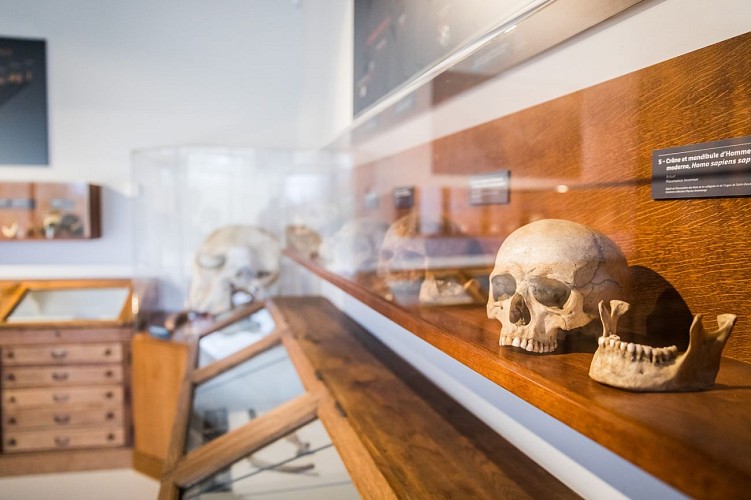 Musee-Aurignacien-2-A