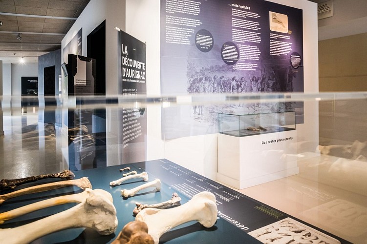 Musee-Aurignacien--A