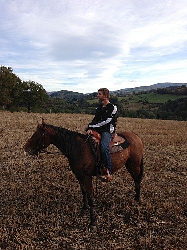 Cours d'équitation Western