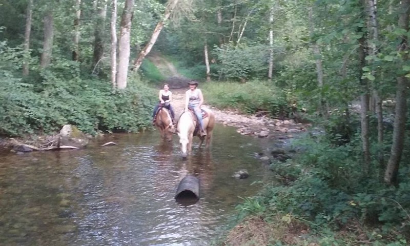 Cours d'équitation Western