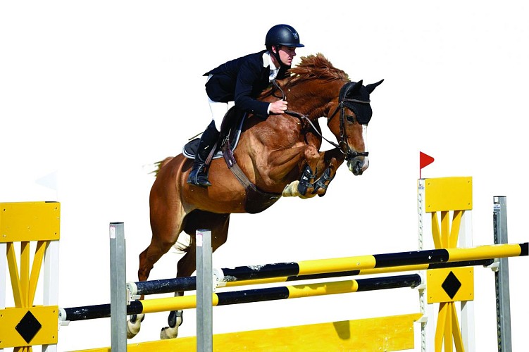 Les Écuries de Verduizant