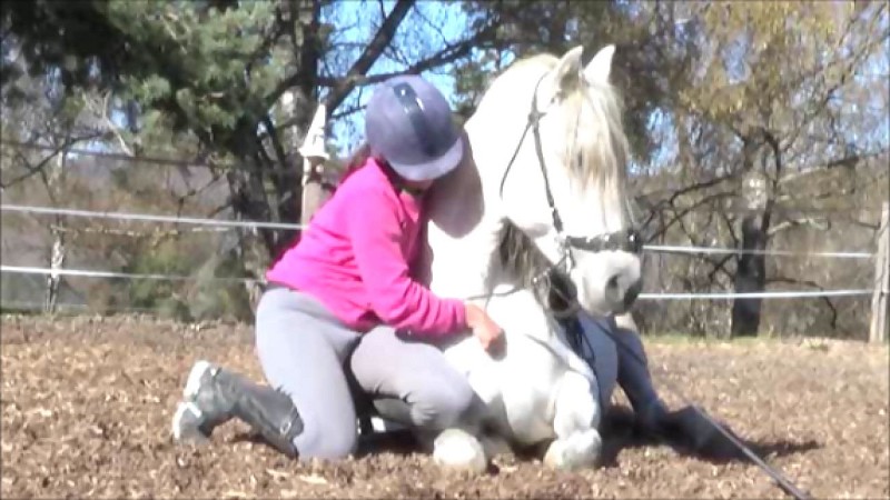 Cours d'équitation-oxygène