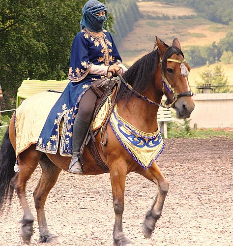Cours d'équitation-oxygène