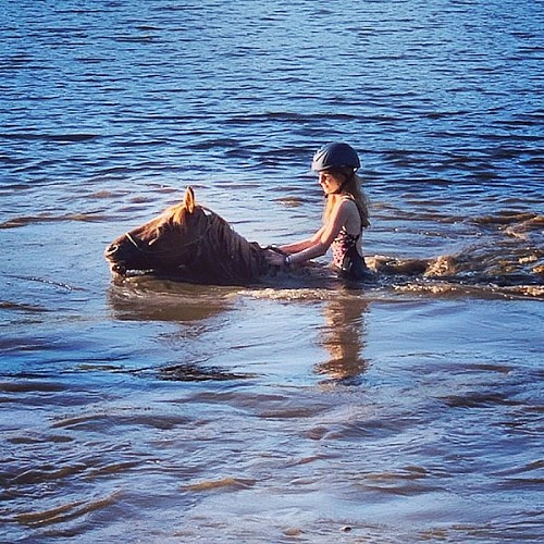 Cours d'équitation-oxygène