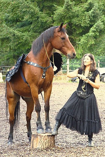 Cours d'équitation-oxygène