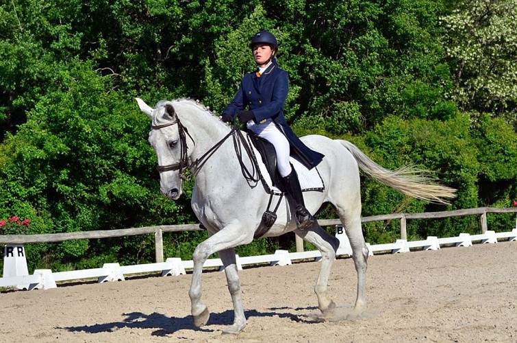 Cours d'équitation