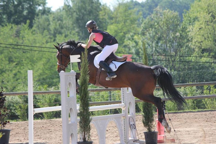 Cours d'équitation