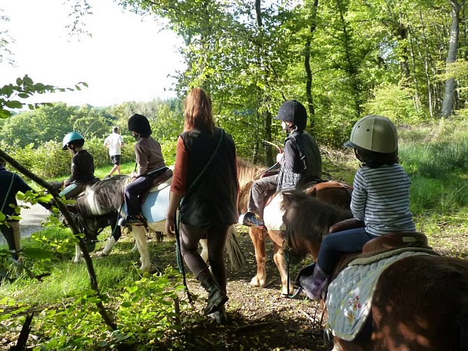 Cours d'équitation