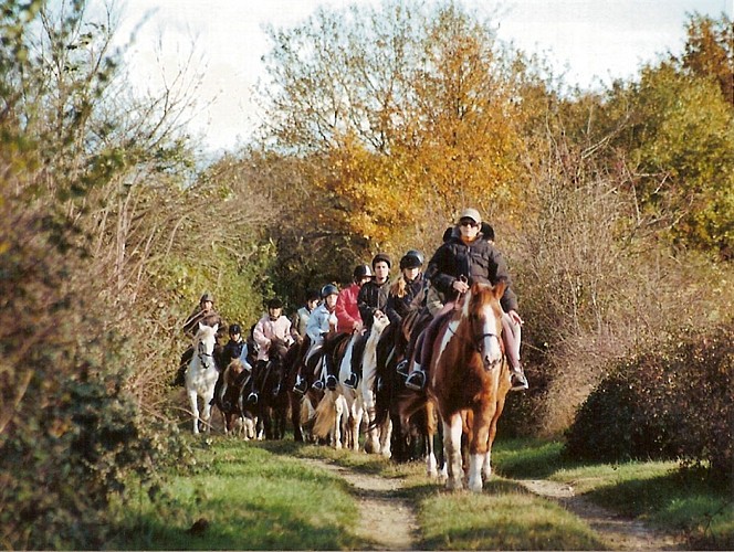 Cours d'équitation
