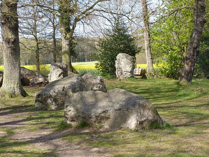 Le champ des roches