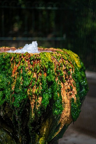 Sources du Dôme et du Lys