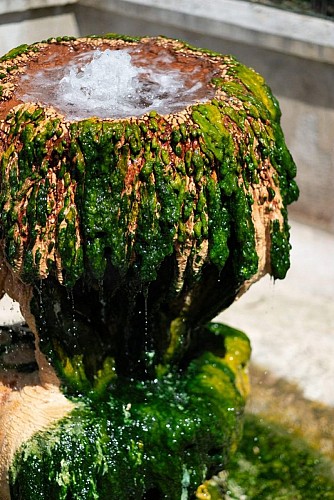 Sources du Dôme et du Lys