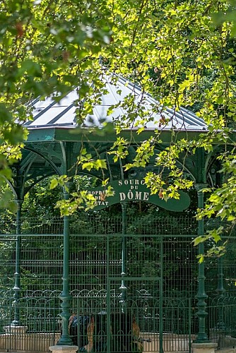 Sources du Dôme et du Lys