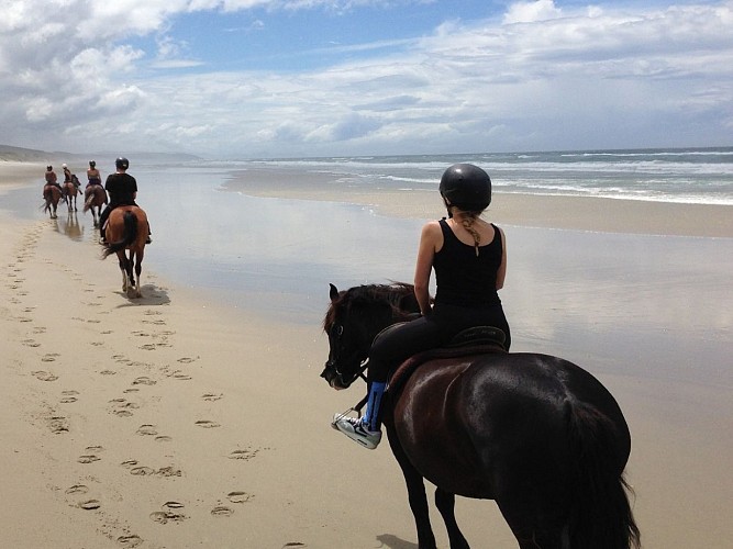 L'appaloosa-Capbreton-OTILAS