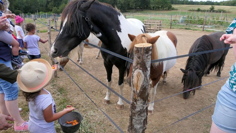 Ferme pédagogique de la Terr'Happy