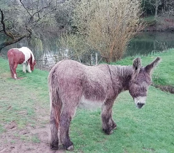 Ferme pédagogique de la Terr'Happy_2
