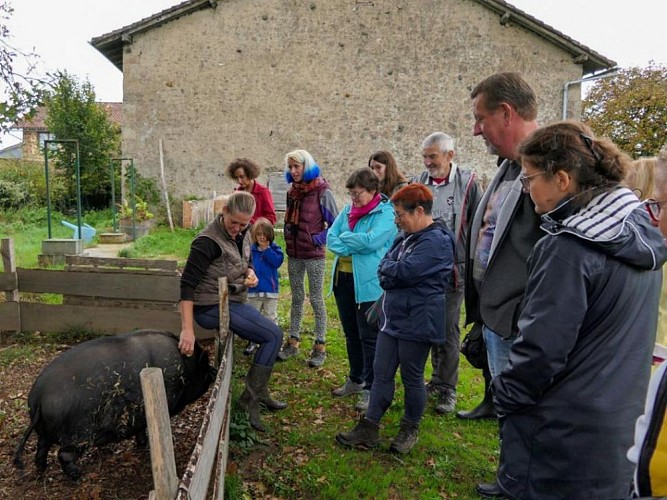 ferme-terr-happy_rochechouart_poltourisme_22_4