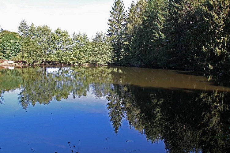 Chambres d'Hôtes Manoir de Chantemerle_9